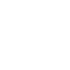 Data Security Icon